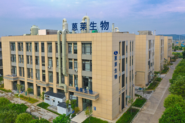 ახალი მცენარეული ბაზის დაყენება